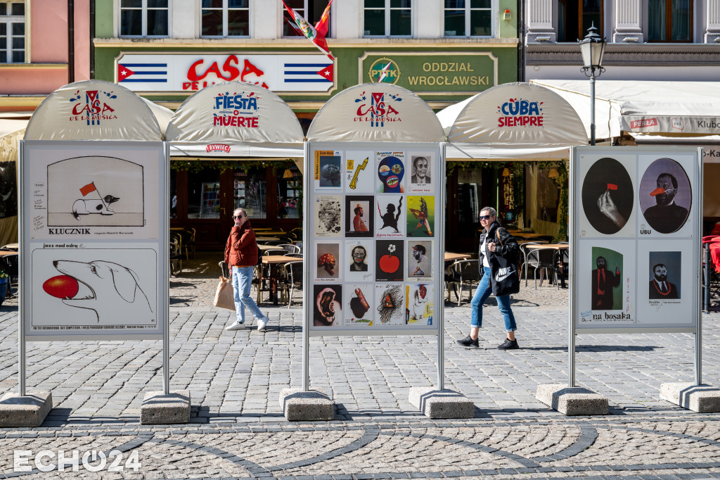 261 przypinek i 57 plakatów w centrum Wrocławia