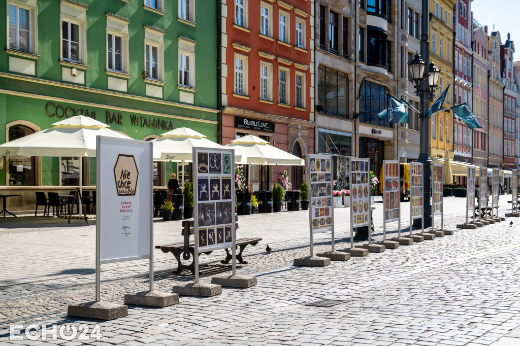 261 przypinek i 57 plakatów w centrum Wrocławia
