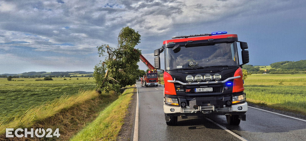 Krajobraz po burzy: Ponad pół tysiąca interwencji