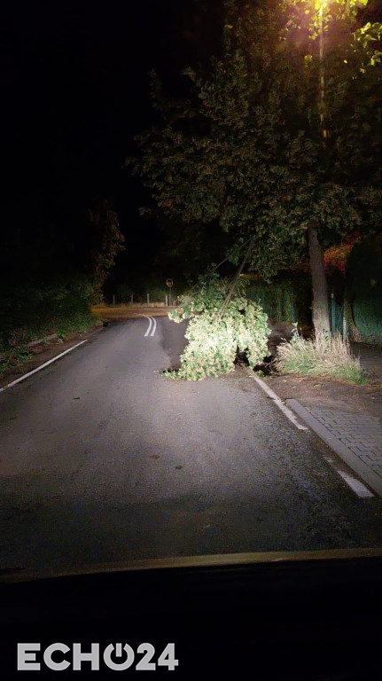 Krajobraz po burzy: Ponad pół tysiąca interwencji