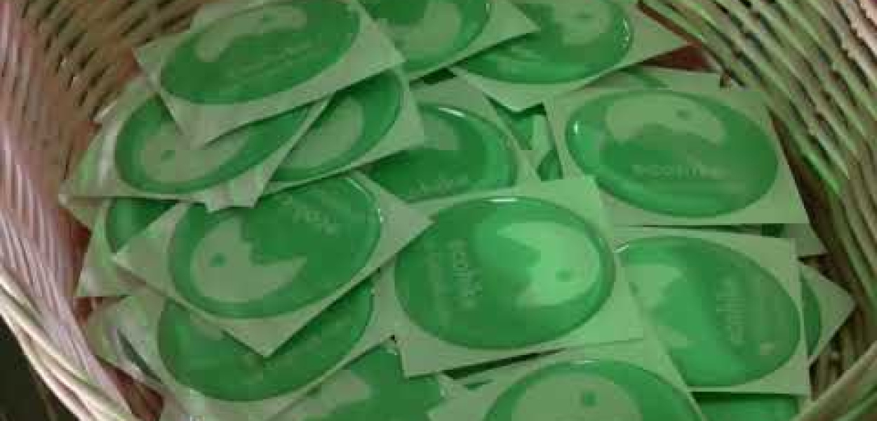  EcoHike:  startuje nowy projekt ekologiczny, który zrewolucjonizuje walkę…