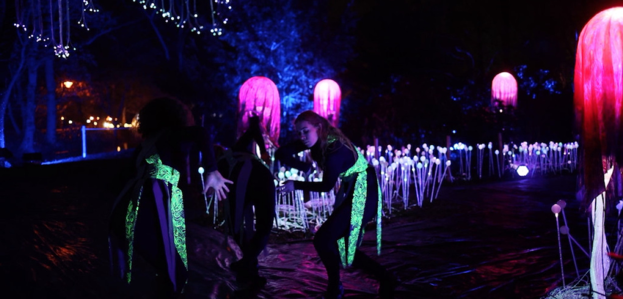 Performance "I see you" w "Tajemniczych ogrodach" Lumina Park Wrocław