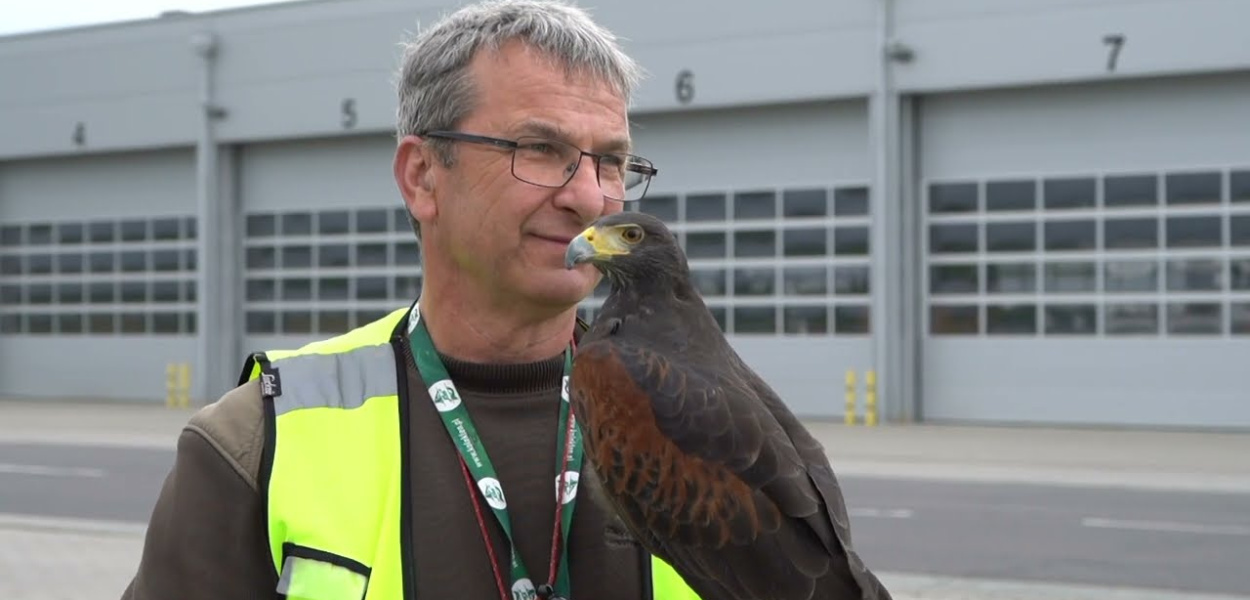  Jak wygląda zarządzanie środowiskiem biotycznym na wrocławskim…