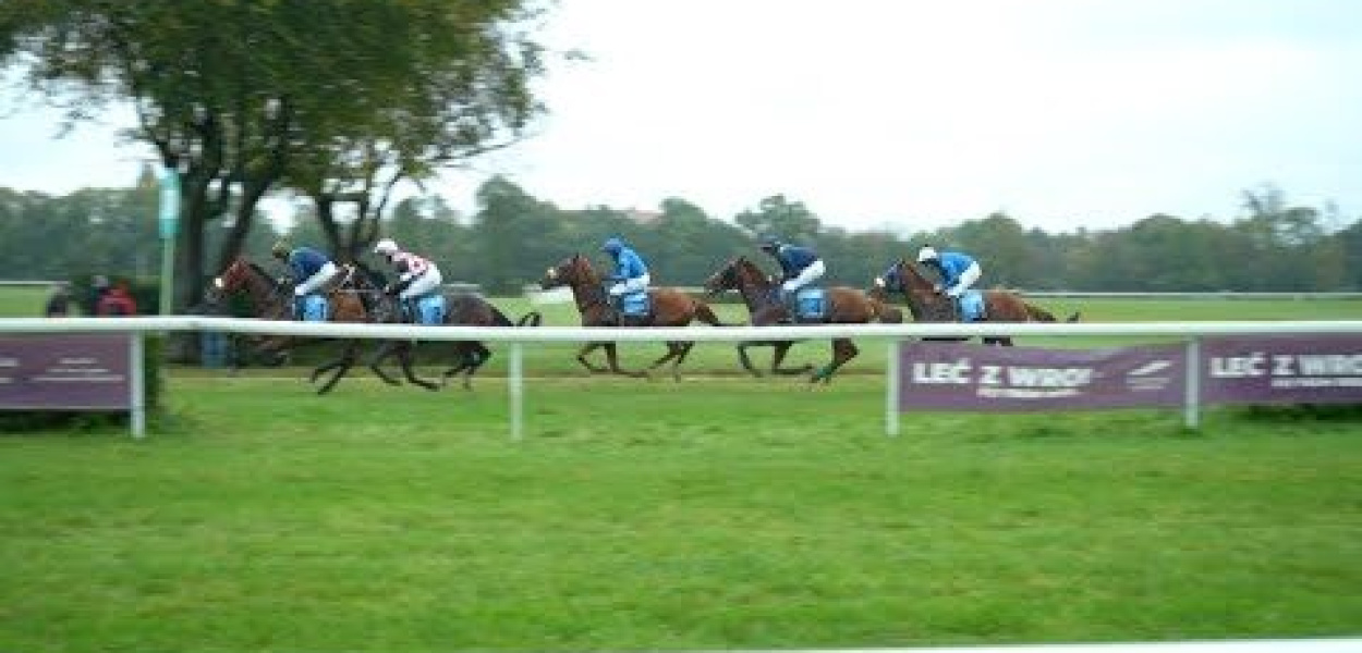 Końskie emocje na Partynicach. Tłumy kibiców na trybunach