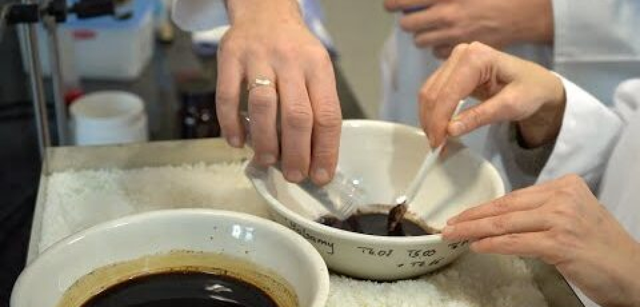  Jedyny taki projekt badawczy na świecie. Polscy naukowcy odtworzyli lek…