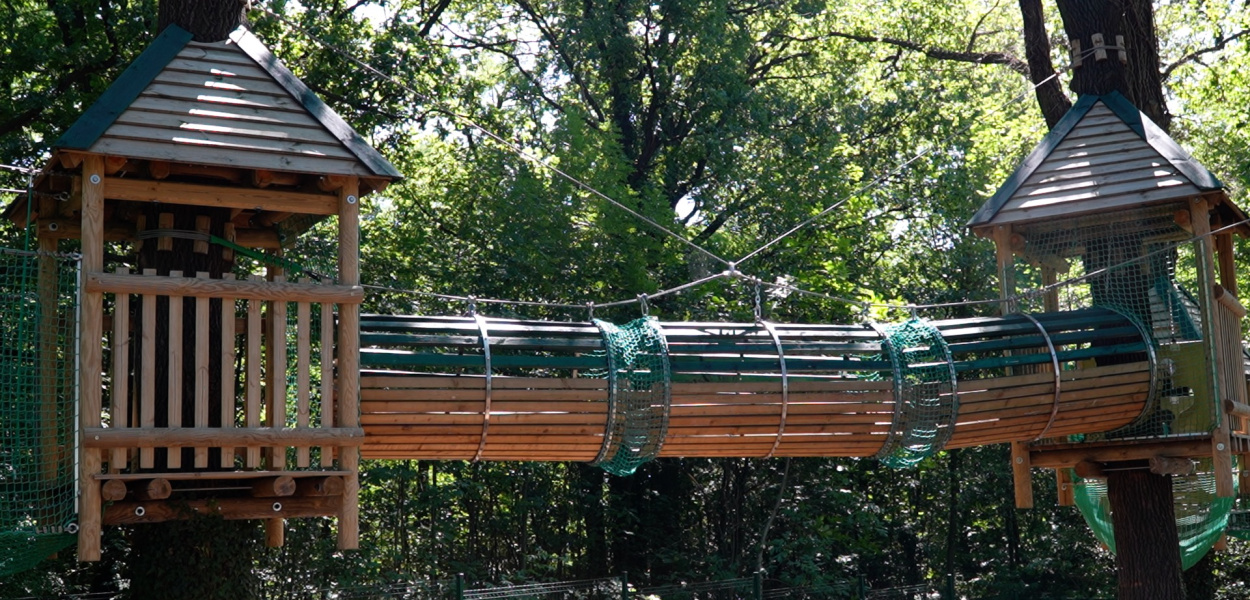 Jedyne takie miejsce w powiecie, czyli park linowy w Legnickim Polu