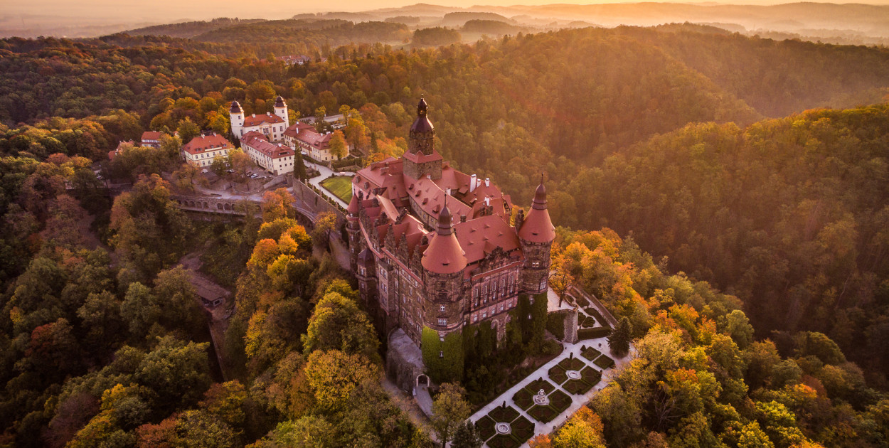 fot. materiały prasowe