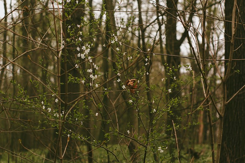 Nowe rezerwaty przyrody na Dolnym Śląsku