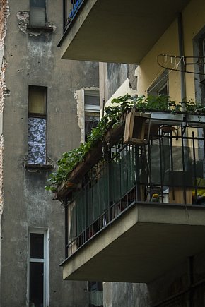 Nowe życie kamienic z Wrocławia-154
