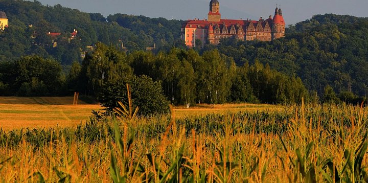 Dzień dobry we Wrocławiu | odc. 156-85783