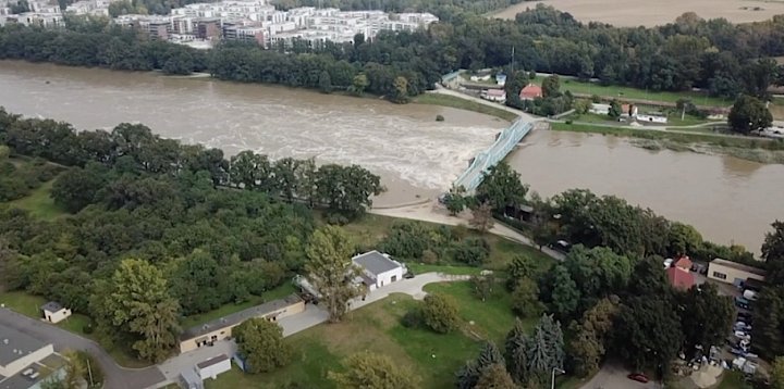 Dzień dobry we Wrocławiu | odc. 157-86484