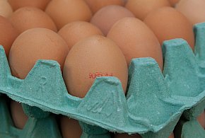 Salmonella na jajach znanej marki. Nie jedz, jeśli masz je w lodówce!-86531
