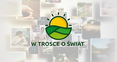 W Trosce o Świat - odc. 11: Technologia w nadleśnictwie-87716