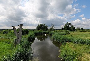 Co dalej z nowym parkiem narodowym? Minister klimatu zdradza plan po wecie-90101