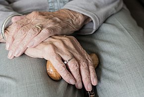 Te osoby dostaną dwie emerytury w grudniu. ZUS przesuwa przelewy-90456