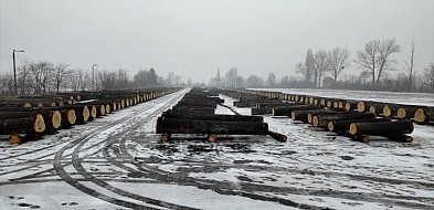 Wyjątkowe drewno do zadań specjalnych