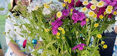 Chcą promować dolnośląskie wsie