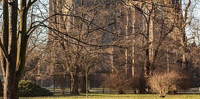 Bp Kiciński: w Kościele coraz więcej dziewic konsekrowanych i pustelników