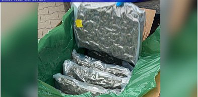 Odbierał przesyłkę, w środku było blisko 60 kilogramów marihuany