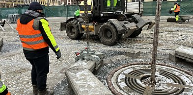 Rozpoczęło się zazielenianie wrocławskiego rynku