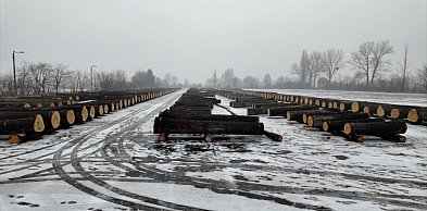 Wyjątkowe drewno do zadań specjalnych