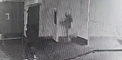 Niszczyli wszystko, co napotkali na swojej drodze