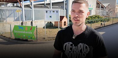 Wrocławskie czworonogi czekają na wolontariuszy