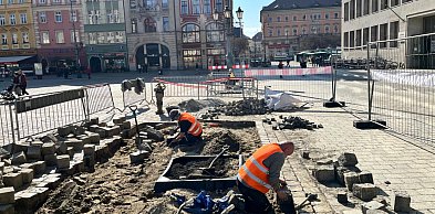 Pierwsze drzewa w Rynku posadzone