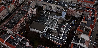 Więcej zieleni na wrocławskim Ołbinie