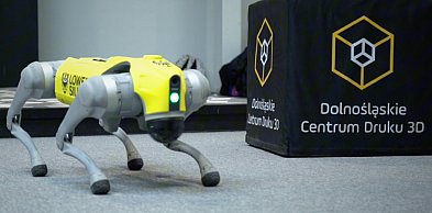 Z ekranu do rzeczywistości. Dzieci poznają druk 3d