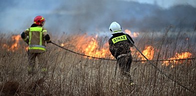 Mimo zaostrzenia kar od początku roku doszło do ponad 12 tys. pożarów traw