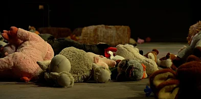 Setki maskotek na terenie Teatru Polskiego we Wrocławiu