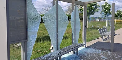 Wandalizm na wrocławskich przystankach kosztuje setki tysięcy złotych
