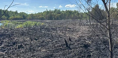 Wielka akcja gaśnicza w Legnicy. Kilkanaście zastępów straży pożarnej