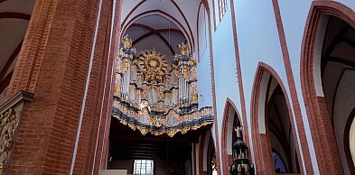Kolejny cykl bezpłatnych koncertów organowych