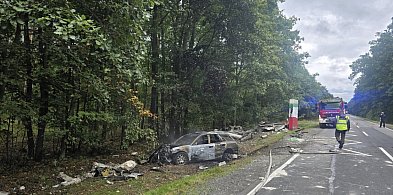Tragiczny poniedziałek na Dolnym Śląsku-88653