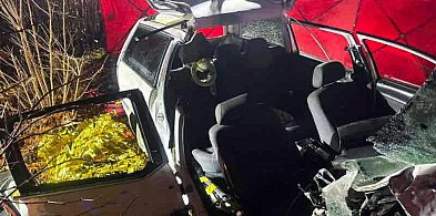 Światowy Dzień Pamięci Ofiar Wypadków Drogowych-90205