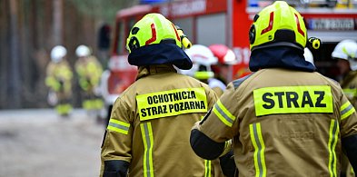 Od piątku w wyniku pożarów zginęło dziewięć osób-90413