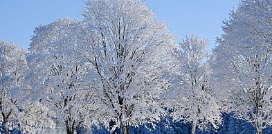 Hydrolog: w Polsce obieg wody jest mocno zależny od śniegu; potrzebujemy go-91570