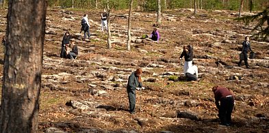 Setki uczestników, jeszcze więcej posadzonych drzew