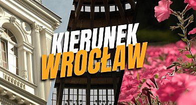 Kierunek: Wrocław, odc. 2 | ZOO, Kompleks Hali Stulecia, Stara Biblioteka-88226