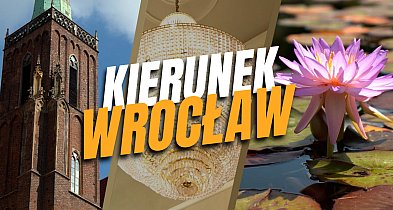 Kierunek: Wrocław, odc. 5-89010