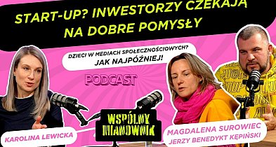 Polscy inwestorzy mają płytki portfel / WSPÓLNY MIANOWNIK