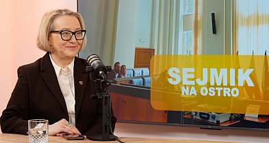 Sejmik na ostro: Katarzyna Lubiniecka-Różyło