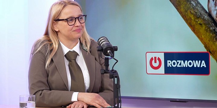 Zwierzęta w lesie? Pomagajmy tylko tym rannym