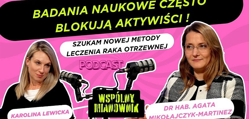 Badania na świniach pozwolą wyleczyć raka?