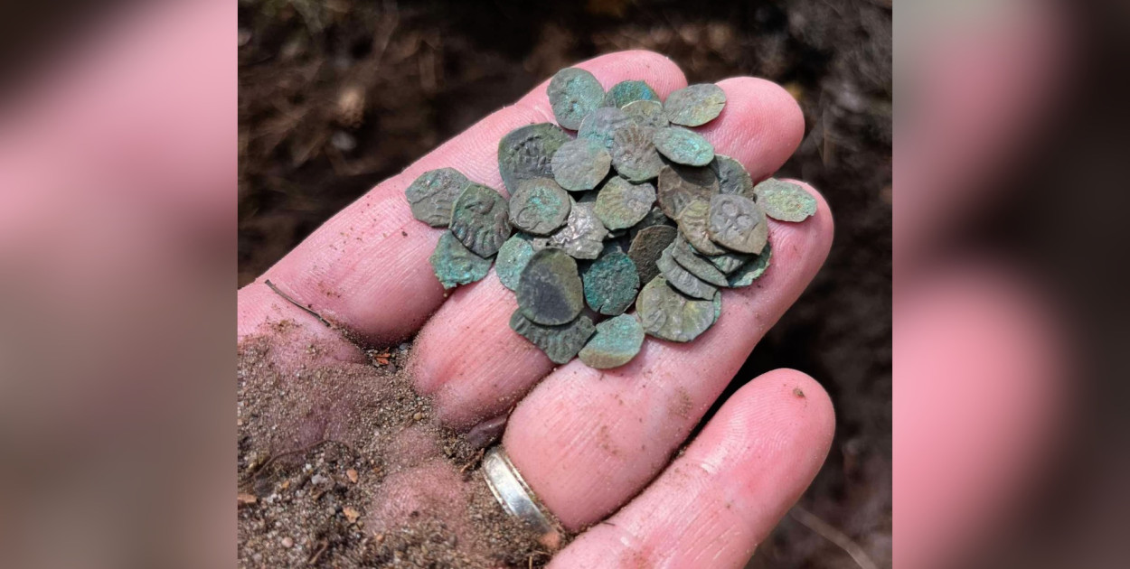 Sensacyjne znalezisko w lesie