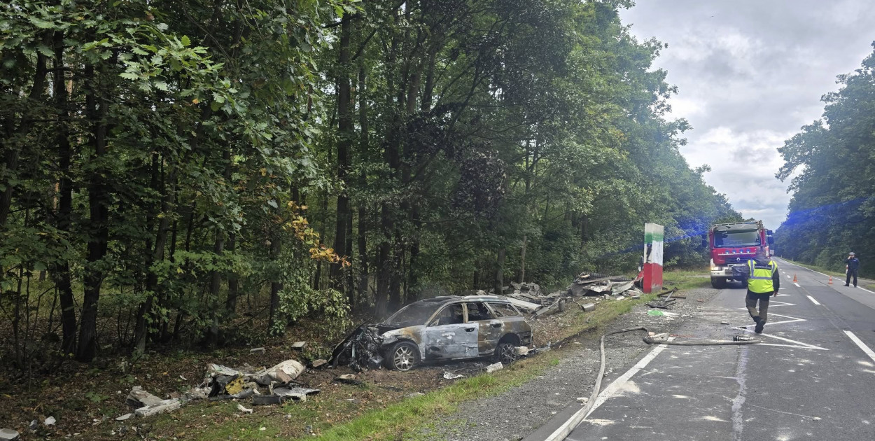 (Fot. Komenda Powiatowa Policji w Oleśnicy / Komenda Powiatowa Państwowej Straży Pożarnej w Oleśnicy)