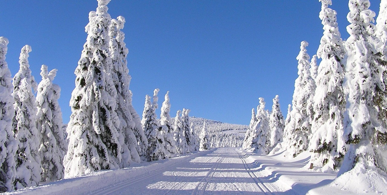 Najbliższe dni pochmurne i mroźne