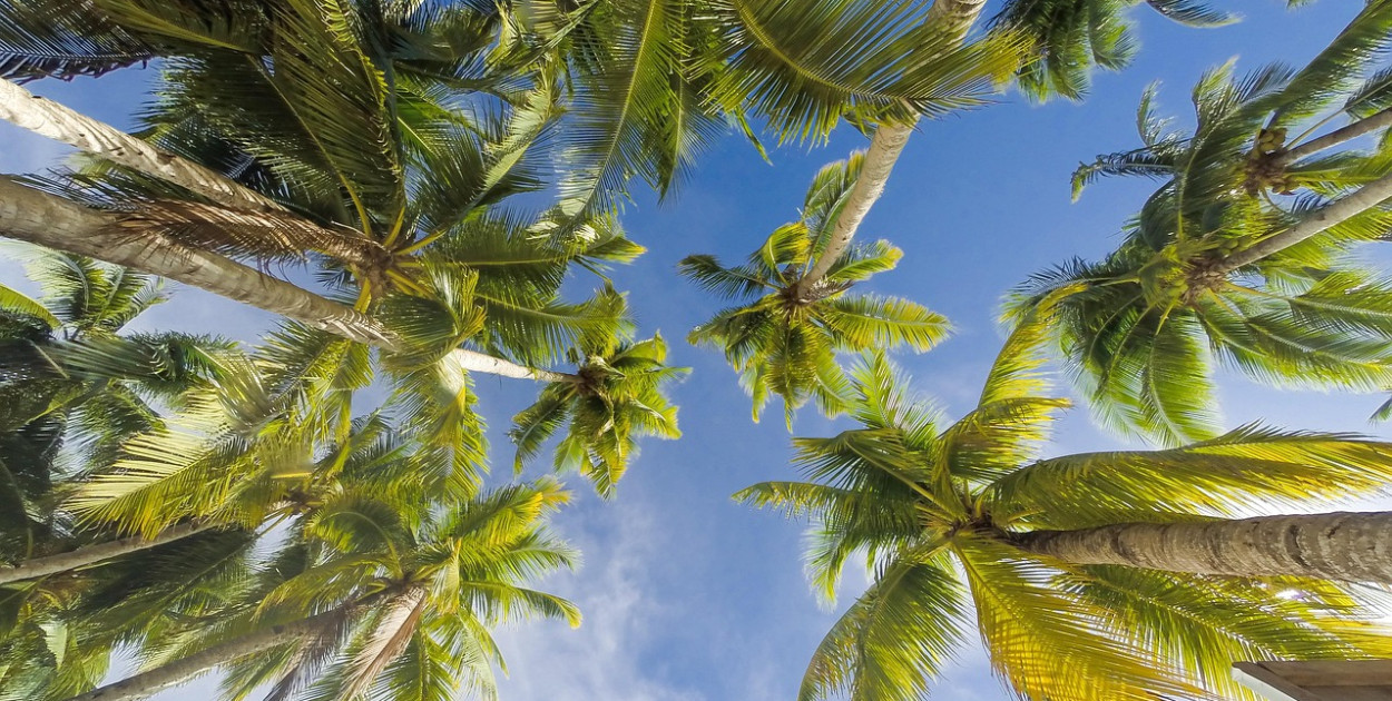 MEN: kuratorzy zatwierdzili dotąd blisko 5,5 tys. wyjazdów i półkolonii